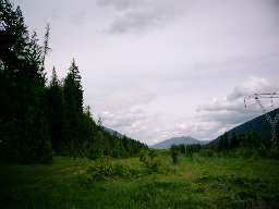 Arrow Creek utility easement swath revisited