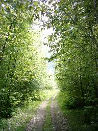 Arrow Creek road to back of property