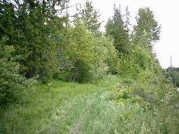 Arrow Creek road from the old highway