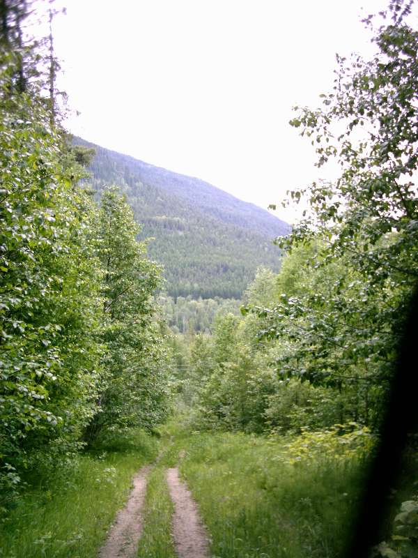 Arrow Creek Property