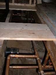 Starting to show signs of life