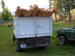 Tippy and the new fence