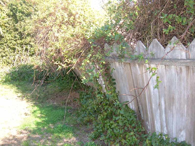 The yard is in horrible disrepair