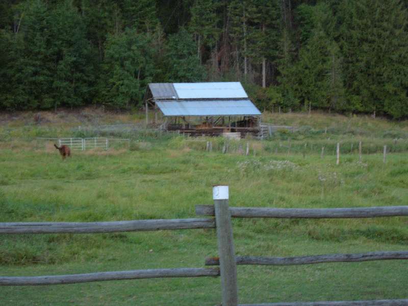 We really don't have much to work with