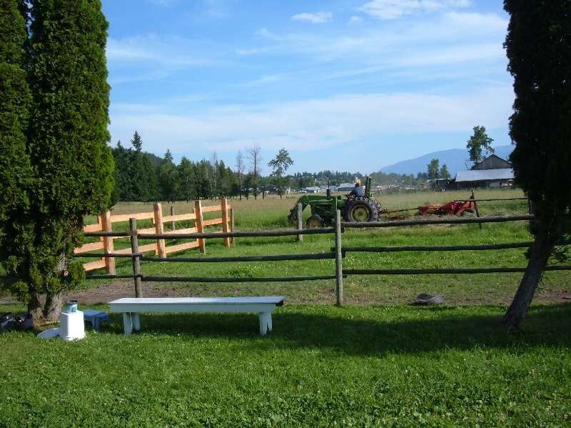 Haying the feild next door