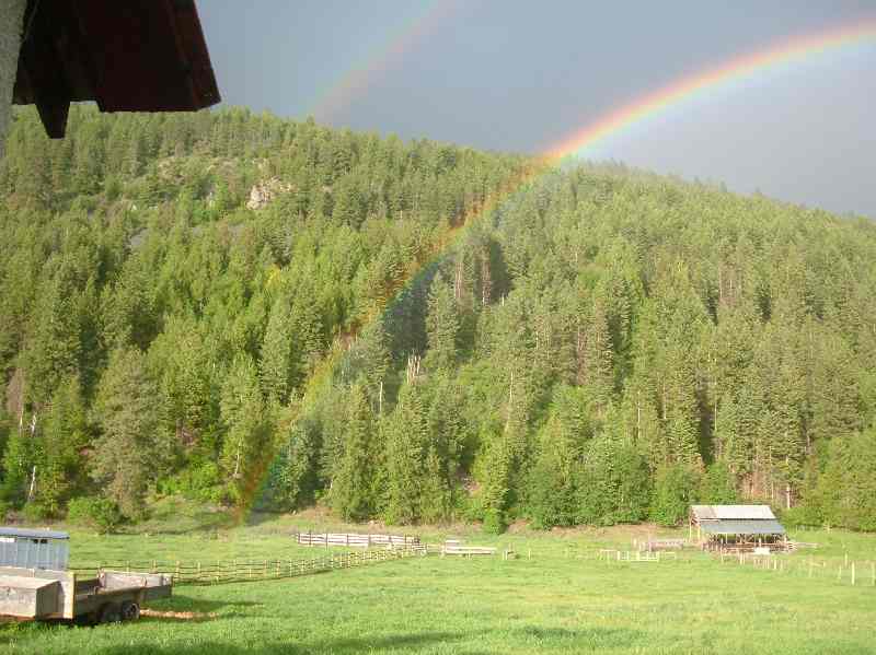 Rebuilding The Farm.