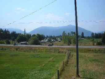 View from the shed