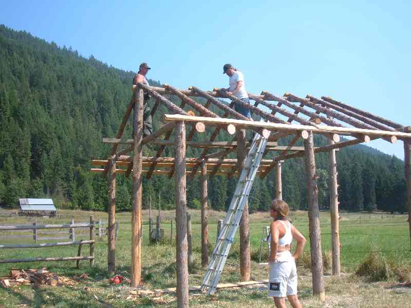 Our First Outbuilding - A Traditional Pole Shed.