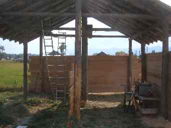 Shed walls inside view